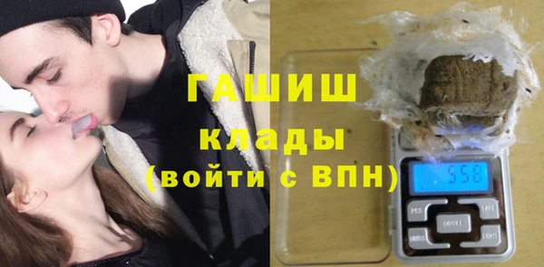 хмурый Инсар