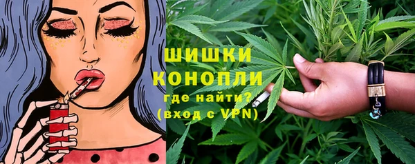 хмурый Инсар